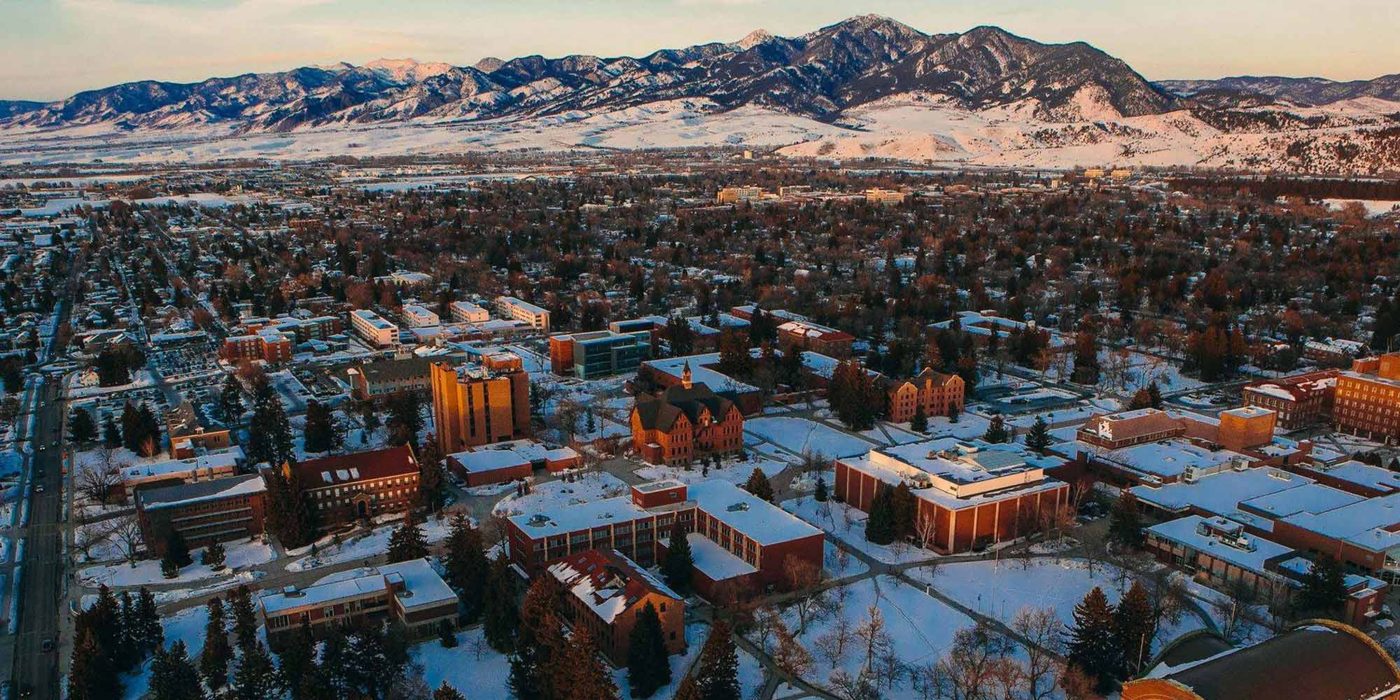 Montana State University campus